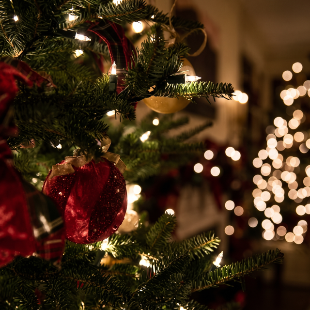 Christmas Menu